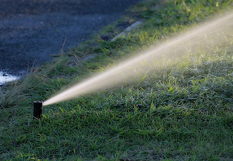 Summer Watering Tips