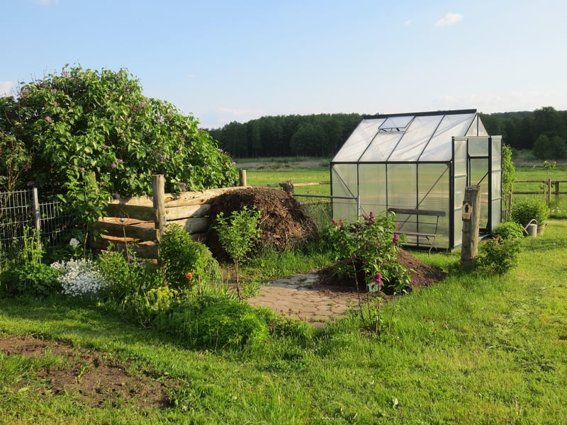 Charming garden shed